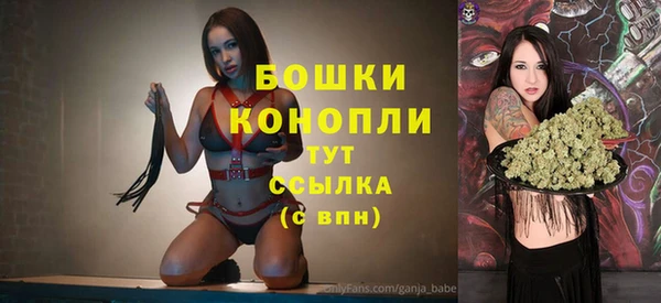 2c-b Кемь