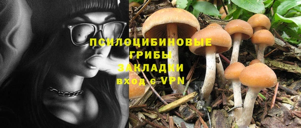 скорость Горняк
