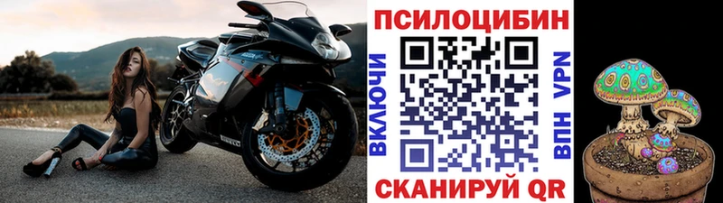 Псилоцибиновые грибы ЛСД  Купить закладки  Амурск 
